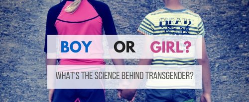 Travesti Olgusunun Bilimsel ve Siyasal Yaklaşımlar Açısından Ehemmiyeti